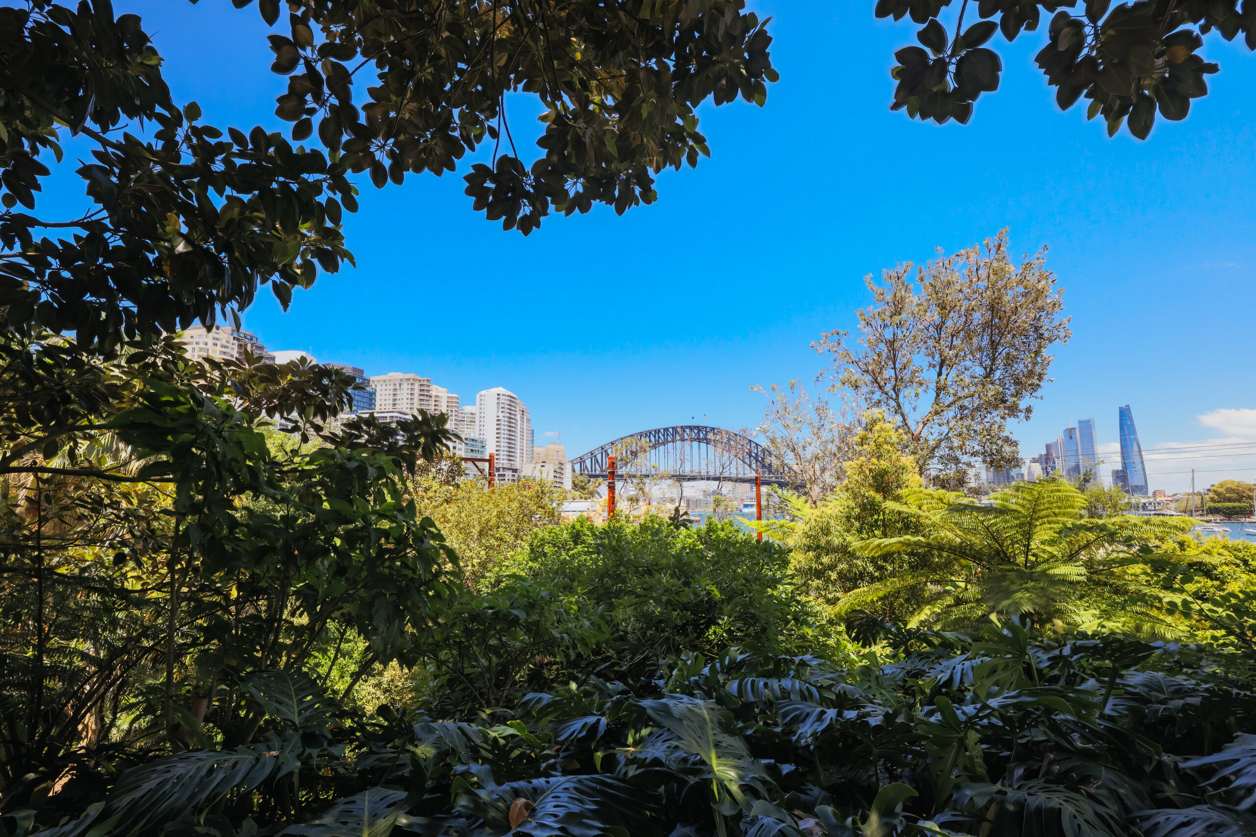 Wendy Whiteley's Secret Garden in Australia